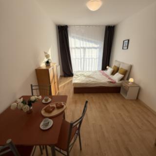 Pronájem bytu 1+kk, garsoniery 26 m² Plzeň