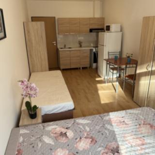 Pronájem bytu 1+kk, garsoniery 27 m² Plzeň