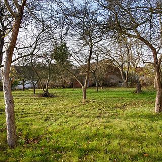 Prodej stavební parcely 718 m&sup2; Rosovice