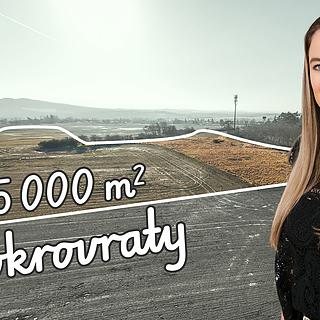 Prodej zemědělské půdy 24 967 m² Mokrovraty