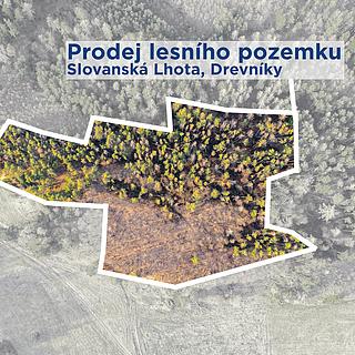 Prodej lesa 14 998 m² Drevníky Slovanská Lhota