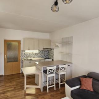 Pronájem bytu 2+kk 41 m² Praha Hodkovičky, Pod lysinami
