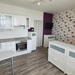 Pronájem bytu 1+kk a garsoniéry 30 m² Praha Kamýk, Otradovická
