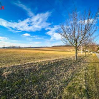 Prodej zemědělské půdy 3739 m² Bukovany
