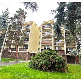 Prodej bytu 1+kk, garsoniery 30 m² Teplice