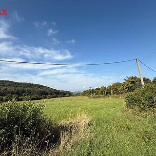 Prodej zemědělské půdy 23 391 m² Braňany