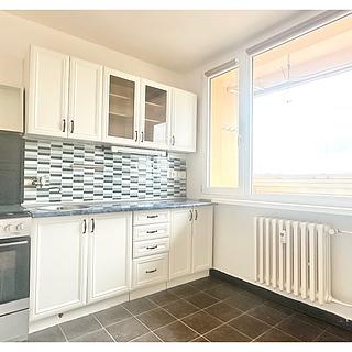 Prodej bytu 2+1 49 m² Bílina Pražské Předměstí, Aléská