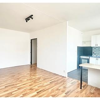 Prodej bytu 2+1 49 m² Bílina Pražské Předměstí, Aléská