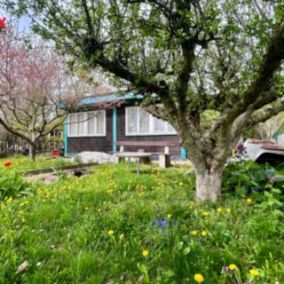 Prodej zahrady 411 m² Novosedlice