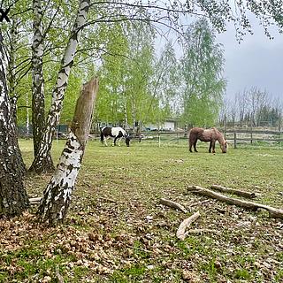 Prodej stavební parcely 3706 m&sup2; Zabrušany