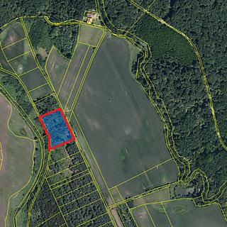 Prodej lesa 3405 m&sup2; Břeclav