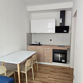 Pronájem bytu 1+1 55 m&sup2; Praha