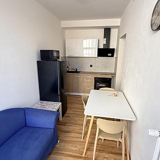 Pronájem bytu 1+1 55 m&sup2; Praha