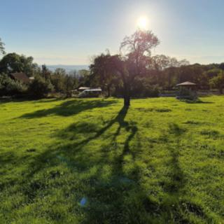 Prodej stavební parcely 1 640 m² Radostná pod Kozákovem Kozákov