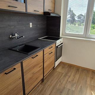 Pronájem bytu 3+1 73 m² Ptýrov