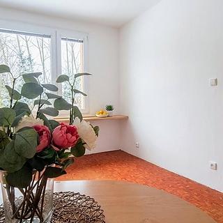 Prodej bytu 1+1 35 m² Turnov, Přepeřská