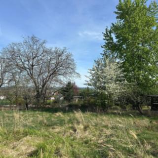 Prodej stavební parcely 1000 m² Lešany
