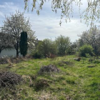Prodej stavební parcely 1 000 m² Lešany Břežany