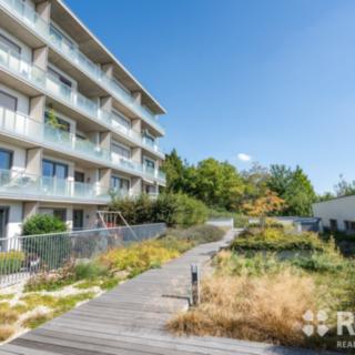 Pronájem bytu 1+kk a garsoniéry 46 m² Brno Stránice, Bohuslava Martinů