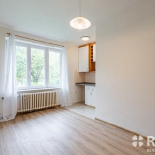 Prodej bytu 1+kk a garsoniéry 23 m² Brno Královo Pole, Ruská