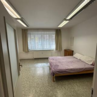 Pronájem bytu 2+1 63 m² Brno Veveří, Bayerova