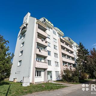 Prodej bytu 3+1 55 m&sup2; Brno