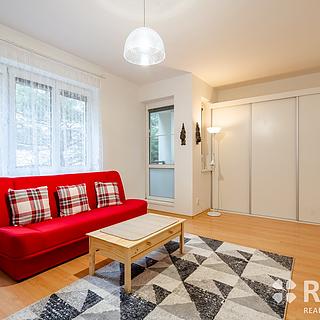 Prodej bytu 1+kk, garsoniery 31 m² Brno