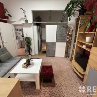 Pronájem bytu 1+1 47 m² Brno