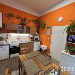 Pronájem bytu 1+1 47 m² Brno Veveří, Kounicova