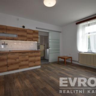 Pronájem bytu 1+kk, garsoniery 24 m² Štipoklasy