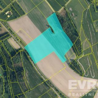 Prodej zemědělské půdy 107792 m² Jílové u Držkova