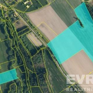 Prodej zemědělské půdy 107792 m² Jílové u Držkova