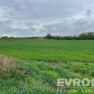 Prodej zemědělské půdy 66333 m² Rybitví