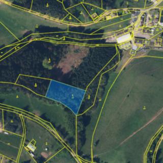 Prodej lesa 3 304 m² Hronov