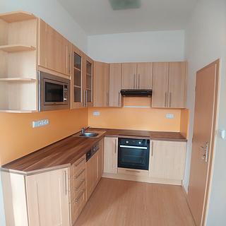 Pronájem bytu 1+1 30 m² Tábor