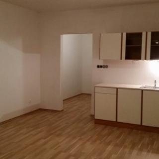 Pronájem bytu 1+kk a garsoniéry 32 m² Tábor, Nad Řekou