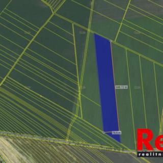 Prodej zemědělské půdy 38913 m² Křenovice