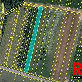 Prodej zemědělské půdy 5651 m&sup2; Hodějice