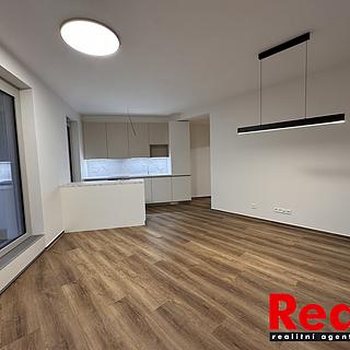 Pronájem bytu 2+kk 59 m² Brno