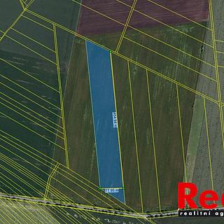 Prodej zemědělské půdy 38 914 m² Křenovice