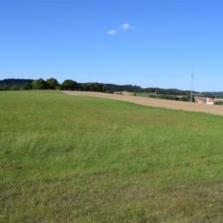 Prodej stavební parcely 2 846 m² Předslavice Úlehle