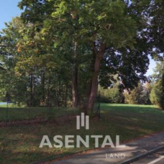Prodej ostatního pozemku 1 705 m² Doubrava