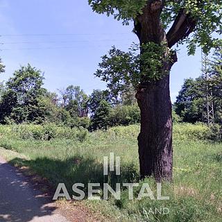 Prodej komerčního pozemku 114814 m&sup2; Karviná