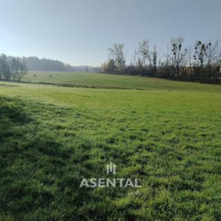 Prodej zemědělské půdy 7427 m² Horní Suchá