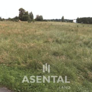 Prodej zemědělské půdy 4423 m² Horní Suchá