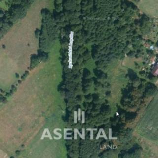 Prodej ostatního pozemku 11 619 m² Rychvald