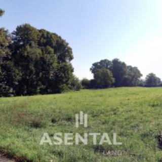 Prodej stavební parcely 11 625 m² Ostrava Bartovice, Bartovická