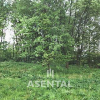 Prodej ostatního pozemku 6 387 m² Orlová Poruba, Stará štreka