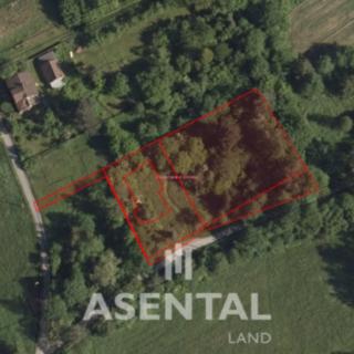 Prodej ostatního pozemku 2 987 m² Doubrava