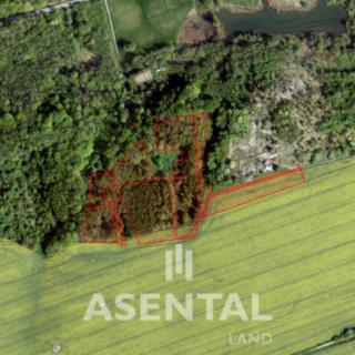 Prodej lesa 26749 m² Stonava